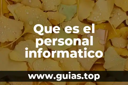 Que es un bosquejo de la realidad personal 4 Que es el personal informatico