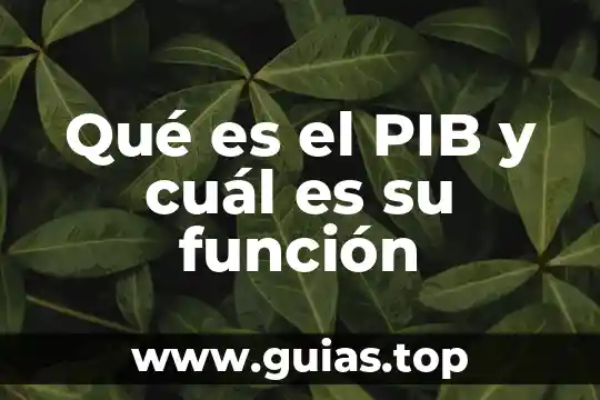 Qué es deuterio y cuál es su número atómico 3 Qué es el PIB y cuál es su función