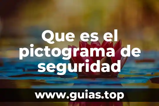Que es un triangulo de seguridad 6 Que es el pictograma de seguridad