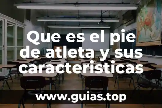 Que es un principio y sus caracteristicas 8 Que es el pie de atleta y sus caracteristicas