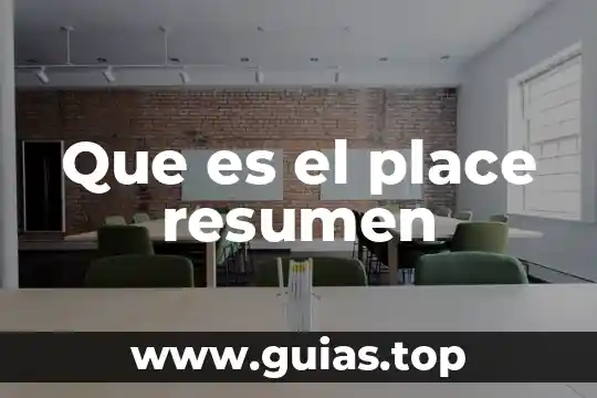 Que es un resumen como se hace 5 Que es el place resumen