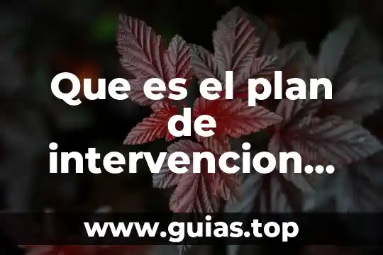 Que es intervención psicopedagogica según bausela 8 Que es el plan de intervencion de ajustes razonables