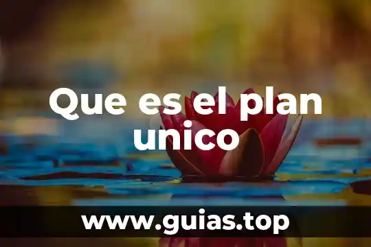 Qué es un plan de lectura y cómo se crea 7 Que es el plan unico