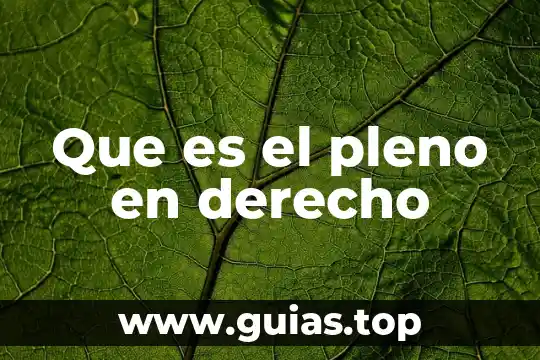 Que es el finalismo en derecho 5 Que es el pleno en derecho