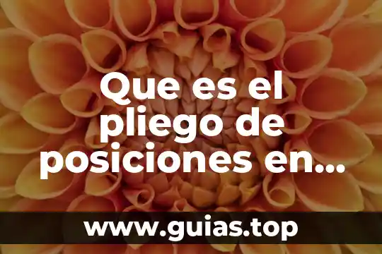 Por que es importante llevar acabo las posiciones anatommicas 4 Que es el pliego de posiciones en materia mercantil
