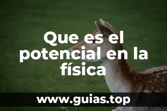 Que es la energia cinética y potencial redalyc 7 Que es el potencial en la física