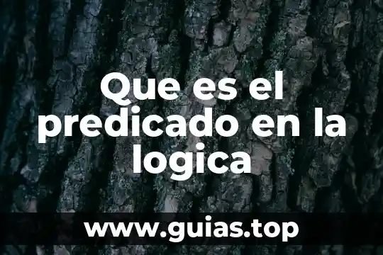 Qué es la lógica combinatoria en electrónica 3 Que es el predicado en la logica