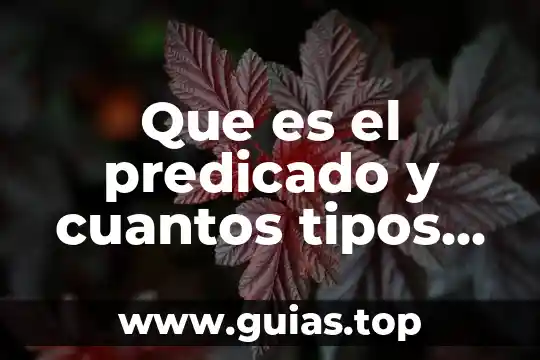 Qué es un cuadrilátero y cuántos tipos hay 4 Que es el predicado y cuantos tipos hay