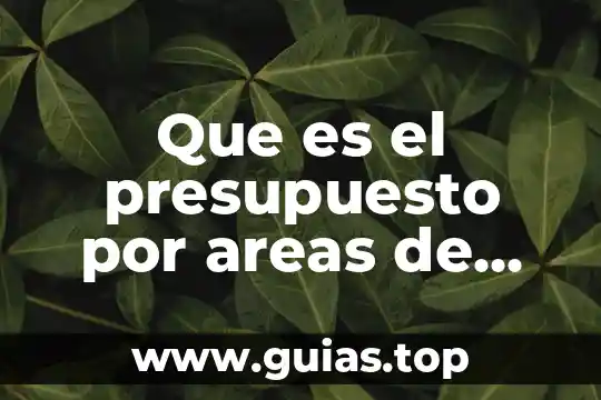 Que es el concepto de presupuesto 7 Que es el presupuesto por areas de resposabilidad