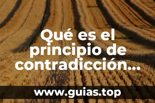 Qué es obversion en lógica 5 Qué es el principio de contradicción lógica
