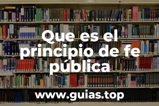 En méxico que es el principio de buena fe 4 Que es el principio de fe pública