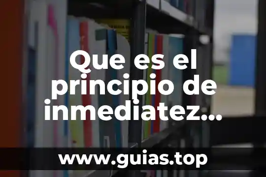 Que es la enseñanza del derecho procesal en mexico 3 Que es el principio de inmediatez procesal en materia laboral