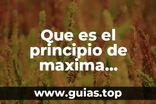 Que es el alico quimico 3 Que es el principio de maxima duplicidad quimico