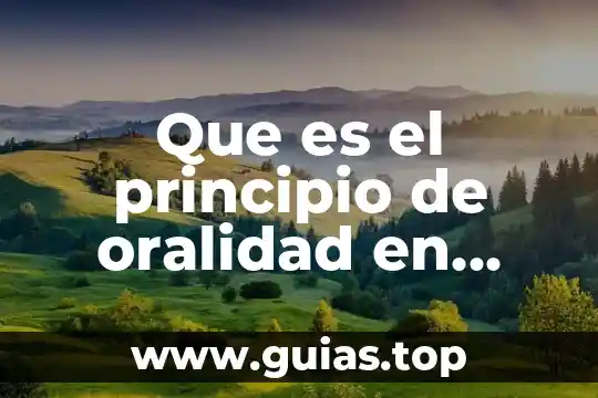 Que es un codigo en derecho penal 7 Que es el principio de oralidad en materia penal