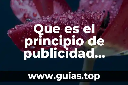 Publicidad definicion que es y concepto economipedoa 3 Que es el principio de publicidad registral