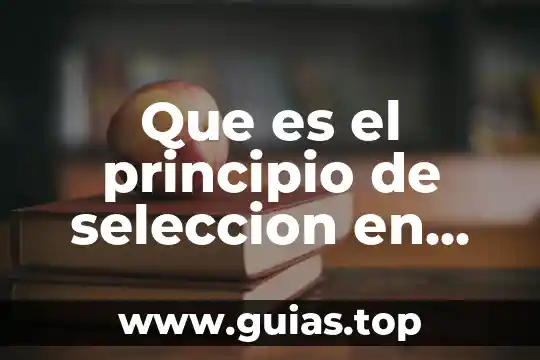 Incremento de la economía que es 3 Que es el principio de seleccion en economia