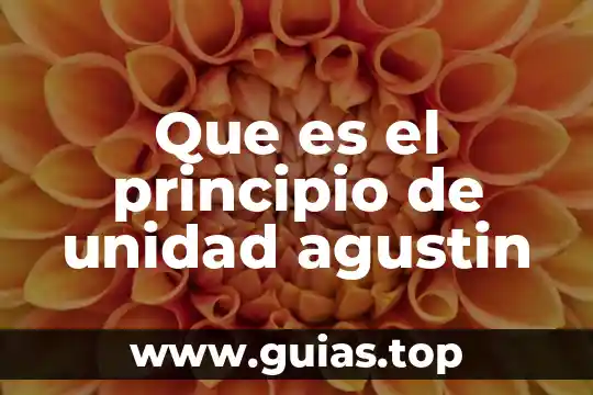 Que es el amor de dios agustin de hipona 7 Que es el principio de unidad agustin