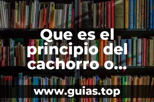Que es una prueba de concepto en marketing 7 Que es el principio del cachorro o neotenia en marketing