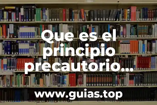 Qué es el principio precautorio y cuándo se aplica 3 Que es el principio precautorio resumen