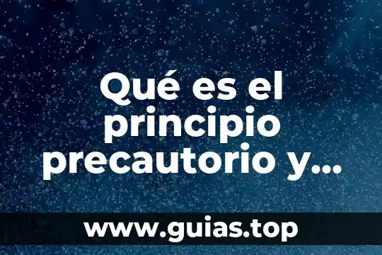 Que es el principio precautorio resumen 5 Qué es el principio precautorio y cuándo se aplica