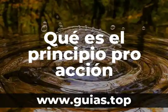 Principio de pro persona que es 4 Qué es el principio pro acción