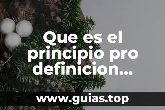 Que es doctrina definicion y concepto 6 Que es el principio pro definicion doctrina