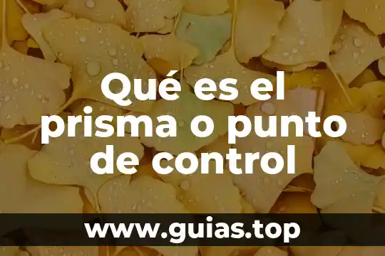 Qué es prisma y sus características y sus nombres 6 Qué es el prisma o punto de control