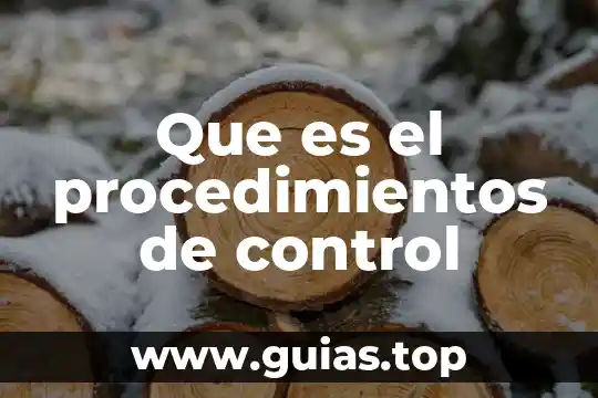 Que es el codigo nacional de procedimientos penales concepto 4 Que es el procedimientos de control