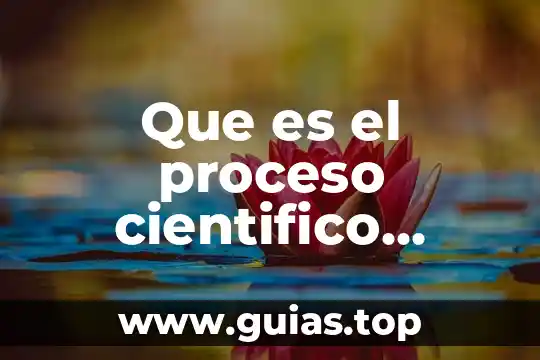 Que es el pensamiento visual yahoo 5 Que es el proceso cientifico yahoo