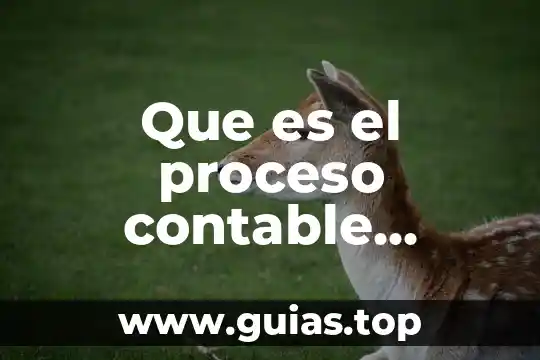 Qué es una planta depuradora de aguas 7 Que es el proceso contable financiero