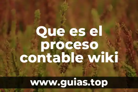 Que es estructura contable de una entidad 8 Que es el proceso contable wiki