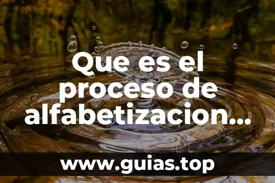 Que es el comite de la cruz roja internacional 5 Que es el proceso de alfabetizacion autores