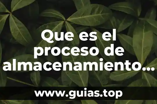 Medicamentos para la gripe en una persona que es diabética 8 Que es el proceso de almacenamiento de medicamentos