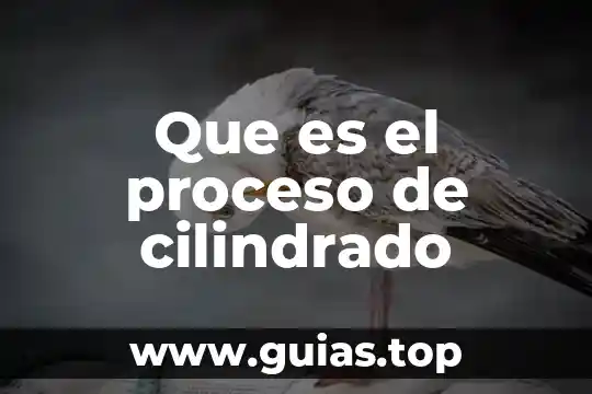 Que es la demanda del dinero segun keynes 3 Que es el proceso de cilindrado