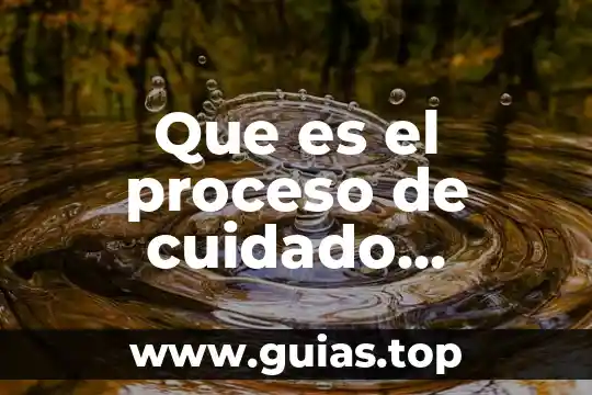 Cuidado del agua triptico que es 4 Que es el proceso de cuidado nutrico