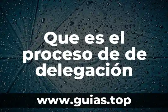 Que es delegacion en administracion de empresas 3 Que es el proceso de de delegación