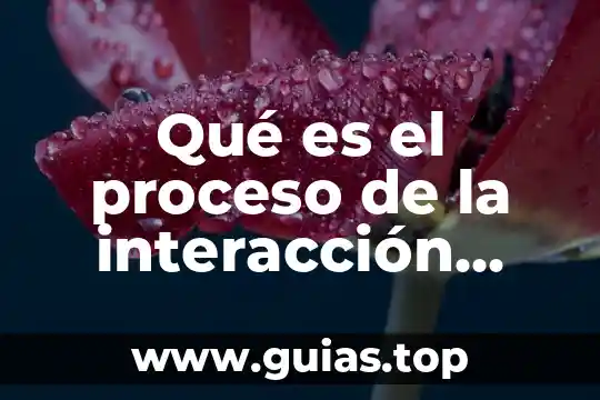 Que es la interaccion de la tecnología 3 Qué es el proceso de la interacción lógica