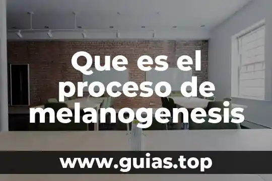 Que es proceso repetible 5 Que es el proceso de melanogenesis