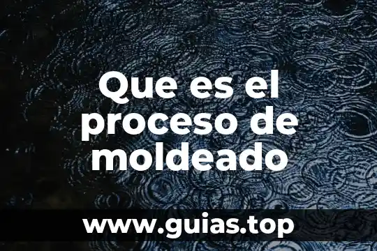 Qué es ing en producción animal 6 Que es el proceso de moldeado