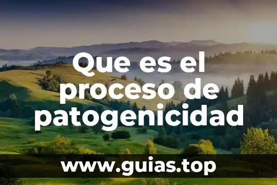 Que es el proceso de la psicogenética en dialnet 3 Que es el proceso de patogenicidad