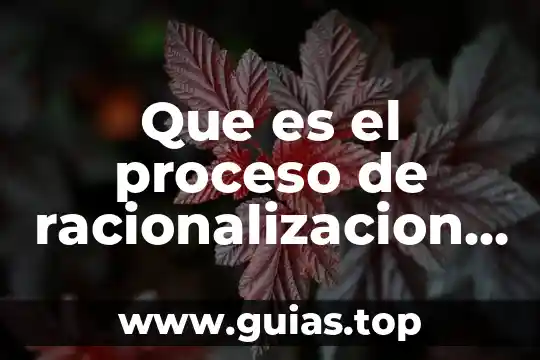 Que es el proceso economico concepto 3 Que es el proceso de racionalizacion en matematicas
