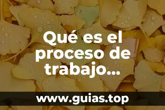 Qué es la libertad y cuáles son sus límites 7 Qué es el proceso de trabajo artesanal y cuáles son