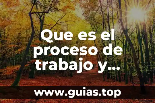 Que es el onuce y cuales son nombres 4 Que es el proceso de trabajo y cuales son