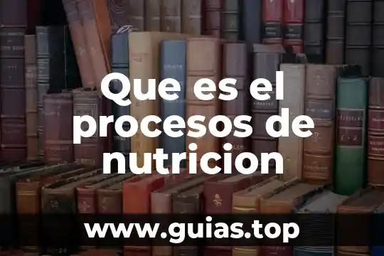Que es un mapa de procesos iso 9001 3 Que es el procesos de nutricion
