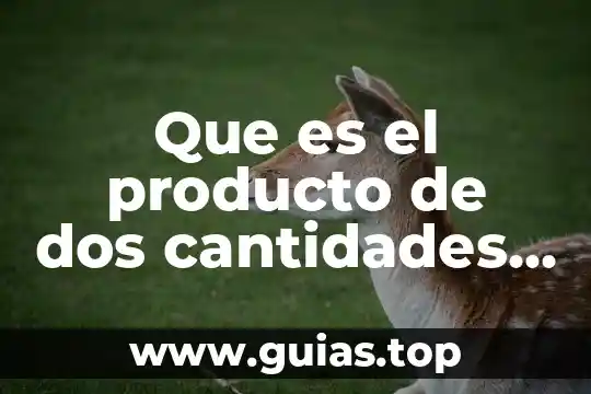 Que es el producto para colesterol rupilinaza 4 Que es el producto de dos cantidades y su algoritmo