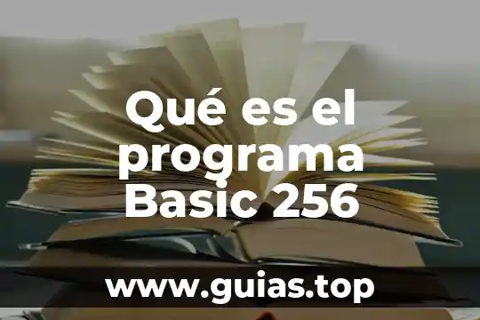 Qué es el programa malware 3 Qué es el programa Basic 256