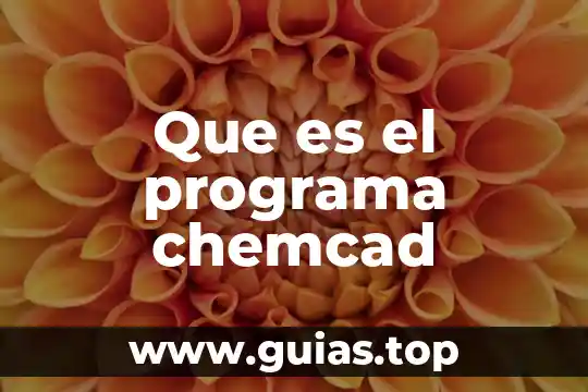 Qué es el programa malware 5 Que es el programa chemcad
