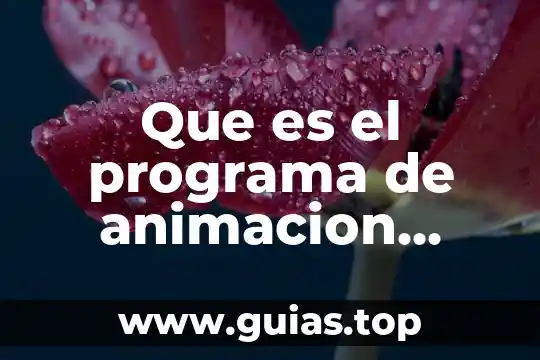 Qué es antología y ejemplos definición 7 Que es el programa de animacion flash