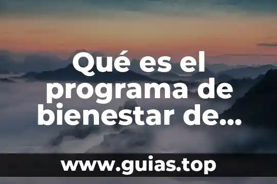 Que es el programa de bienestar social 3 Qué es el programa de bienestar de aml