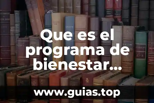 Qué es el programa de bienestar de aml 3 Que es el programa de bienestar social